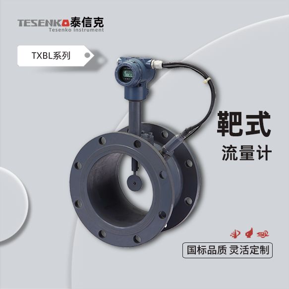 靶式流量计