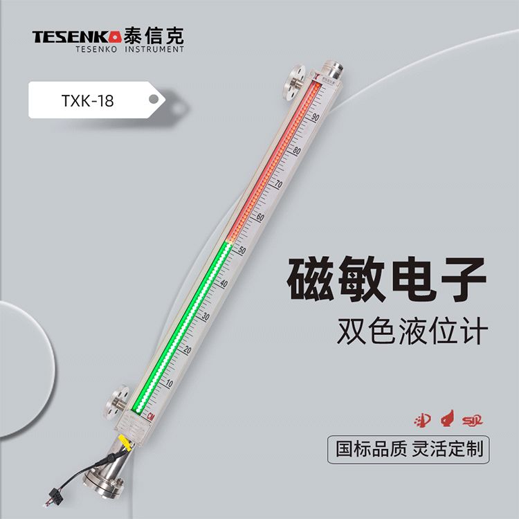 磁敏电子双色液位计
