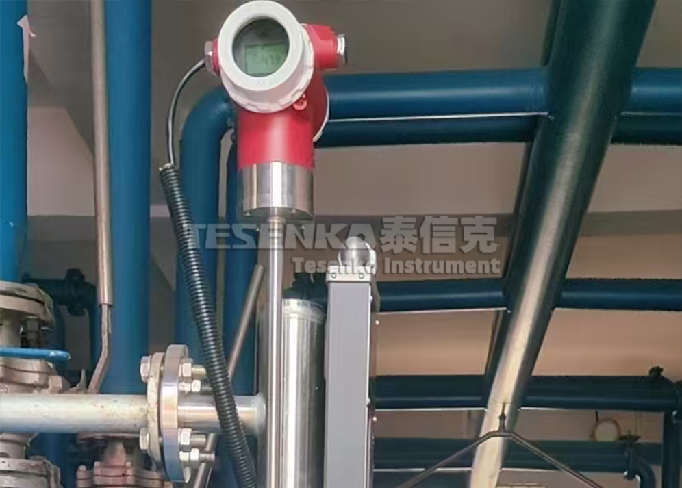 泰信克仪表--侧装磁致伸缩变送器燃气站应用