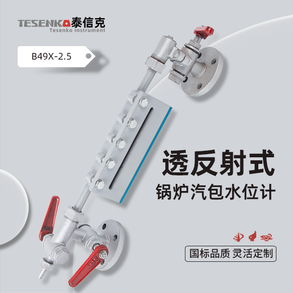 透反射式双色水位计