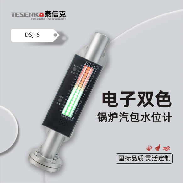 电子双色液位计