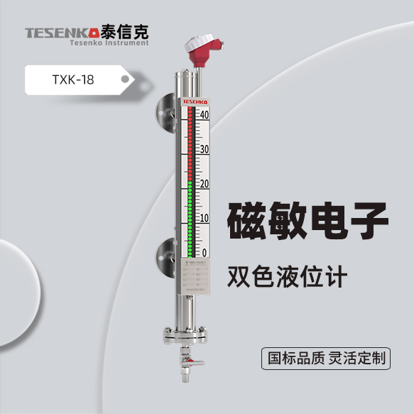 磁敏电子双色液位计