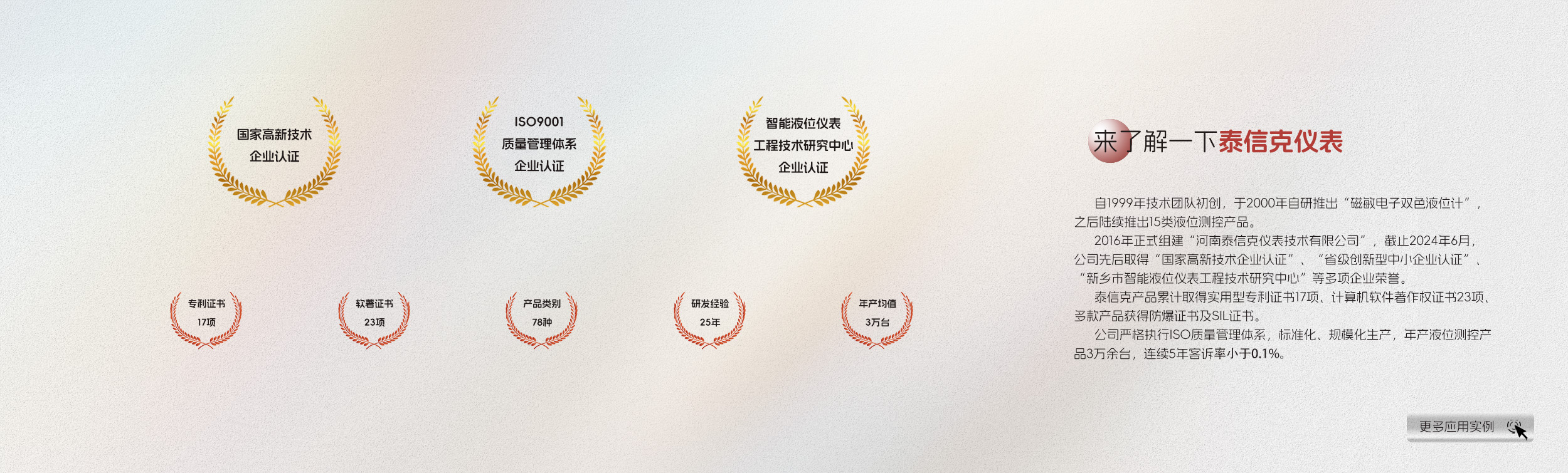 河南泰信克仪表技术有限公司