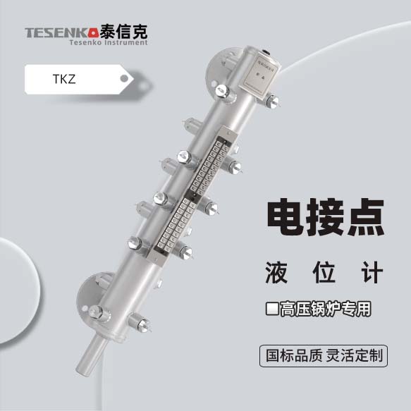 电接点液位计 电接点测量筒水位计 高压锅炉汽包水位传感器