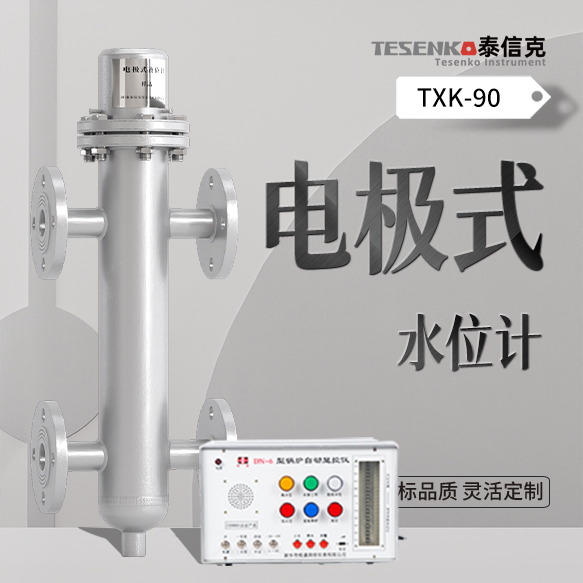 电极式水位传感器