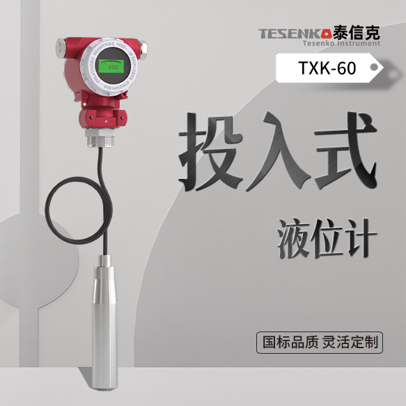 投入式液位计